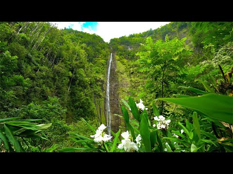 8 Hours - Hawaii Waterfall with Relaxing Nature Sounds - 4K HD | Great Escapes