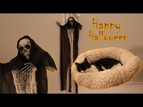 🎃Halloween Decoration🎃Easy Transformation💀