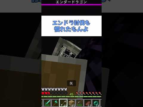 【マイクラ】落下〇回避でわかる（？）初心者と上級者の違い