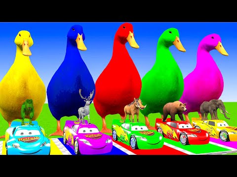 5 Giant Duck Cartoon,Cow,Elephant,Tiger,Lion,Dinosaur,Paint Wild Animals Crossing Fountain Animation