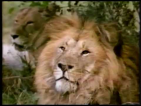 1988 Ontario Travel Commercial