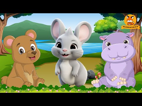 Happy Animal Moments: Bear, Rhino, Hippo, Chinchilla, Monkey - Animal Videos