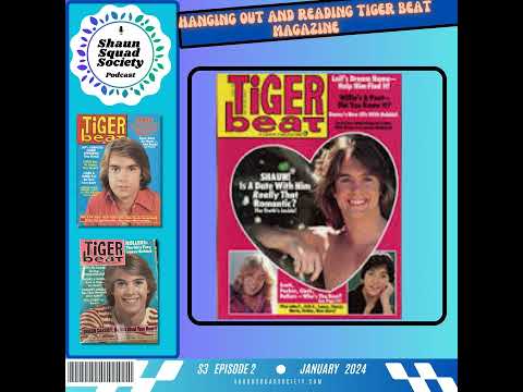 Tiger Beat Magazine: Reminiscing Our Teen Idol Memories