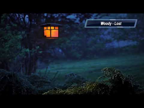 Woody - Lost