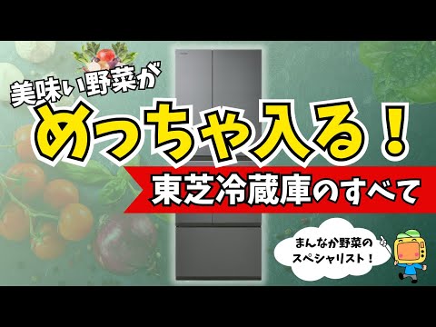 東芝冷蔵庫のすべて！野菜室の王子ベジータの収納やいかに？【2024年最新】