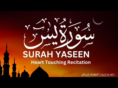 surat yaseen #quranic #madina #makkah #alquran #yaseen