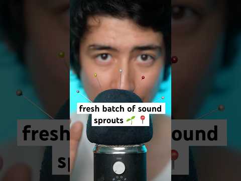 fresh batch of sound sprouts 🌱📍 #asmr