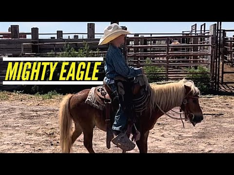 PONY RIDES W/ JASPER | LOVING ALL THE WATER #jheart #mightyeagle #family