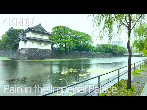 Rainy Walk Around the Imperial Palace | Tokyo, Japan | june 2024 | 4K/HDR with GoogleMaps, subtitles