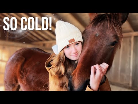 Enduring a COLD SNAP With 50+ Farm Animals