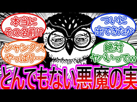 【ワンピース】最新1135話 ちょいみせ エルバフの図書館で登場したフクロウの能力がとんでもない…に対する反応集