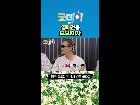 [굿데이] 영배전용 모오!이자, MBC 250309 방송