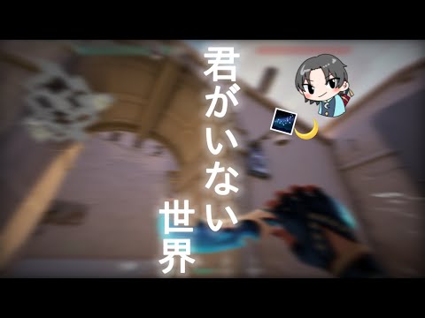 君がいない世界🌌 (Valorant Montage)#15