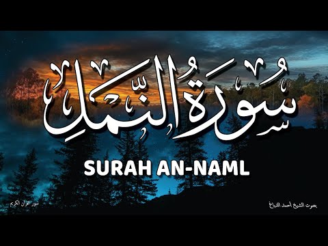 يا لجمال التلاوة! تلاوة خاشعة لسورة النمل تهز المشاعر بصوت جميل جدا جدا Surah An-Naml