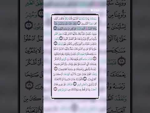 سورة النمل #القرآن_الكريم #qurankarim #اكسبلور #qurankarem #qorankarim #تيك_توك