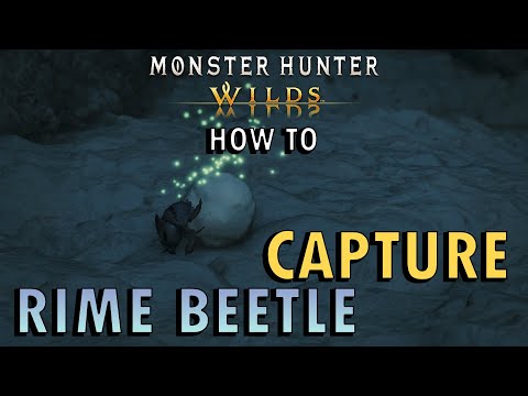 Monster Hunter Wilds - How to catch a Rime Beetle | Samin's Research Report Guide 2 (+ Commentary)