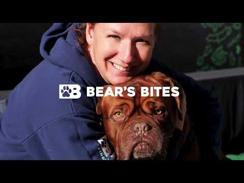 Illinois Made | Bear's Bites