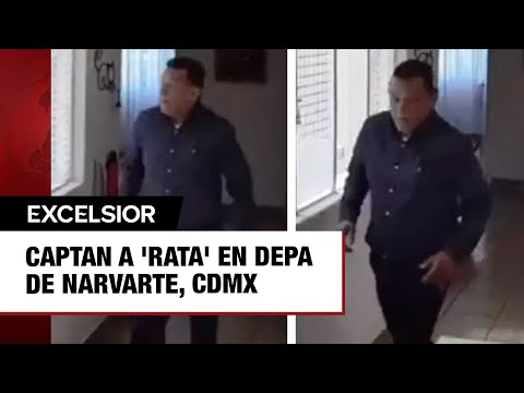 Captan a 'rata' en depa de Narvarte, CDMX