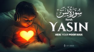 Surah Yaseen - Yasin  سورة يس  | HEAL YOUR SOUL | Surah Yasin LofiQuran #surahyasin