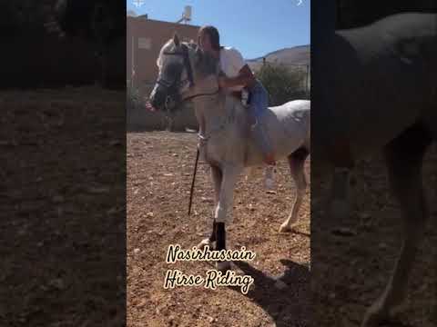 girl controlling & training arabian horse #horsegirl #viralvideo #horseriding #womenempowerment