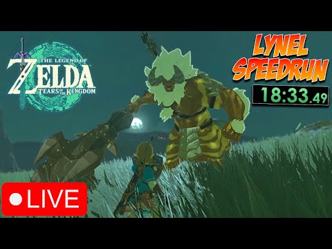 How fast can a Zelda NOOB (me) defeat every Lynel? DAY 3!