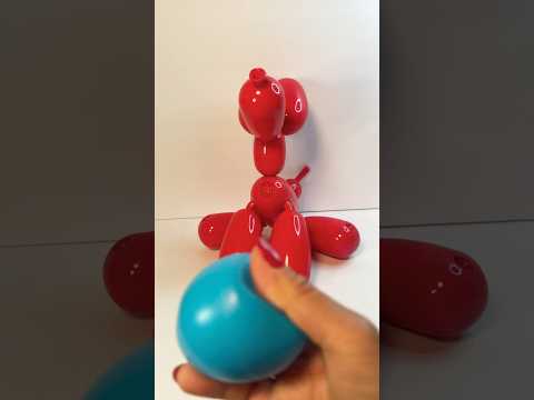 What???Squeakee the Red balloon dog wants to play