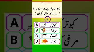 Common Sense Islamic Paheliyan in Urdu/Hindi | islamic top Knowledge 2024 islamic sawal jawab #islam