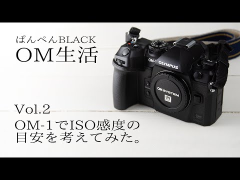 OM-1でISO感度の目安を考えてみた ーOM生活 Vol2ー