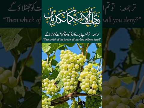 surah rehman ayet 13 #shorts #viral #all