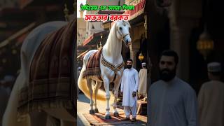 সততার বরকত। #shorts #youtubeshorts #islamichistorybangla #shortvideo #hadis