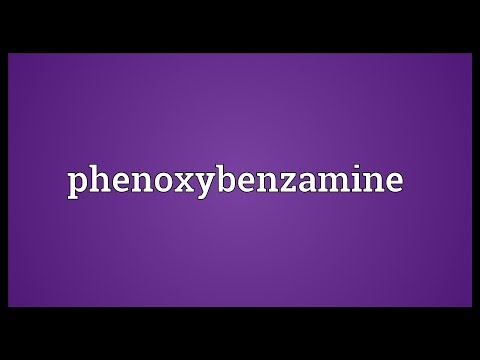 Phenoxybenzamine Meaning