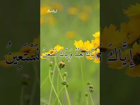 سورة الفاتحة 🌻 #تلاوة_هادئة #قرآن  #quran #qurantilawat