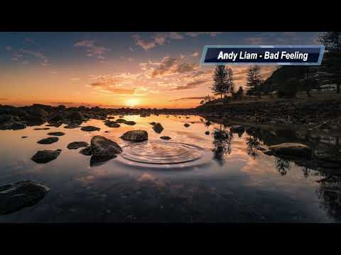 Andy Liam - Bad Feeling