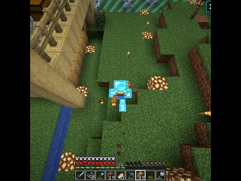 becoming anti-mob on the 100 by 100 Minecraft World