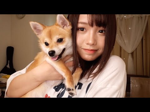 愛犬に飼い主が消えるドッキリしたらぼうちゃんの反応が面白すぎました！