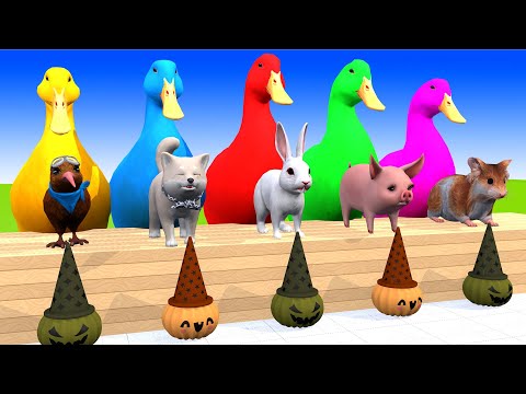 5 Giant Duck Cartoon, Fountain Crossing With Cow Elephant Buffalo Lion T-Rex 3d Animal Game Video