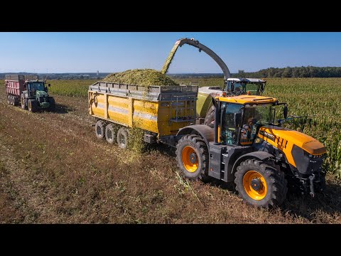 Silage in Malacky I Claas Jaguar 960 I John Deere, Case IH and JCB Fastrac tractors