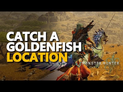 Catch a Goldenfish Monster Hunter Wilds