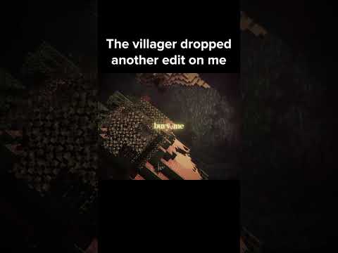 Minecraft Villager Moment