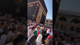 beautifull naat | by hafiz talha #islamic #yutubeshorts #naat #shortvedio 🕋