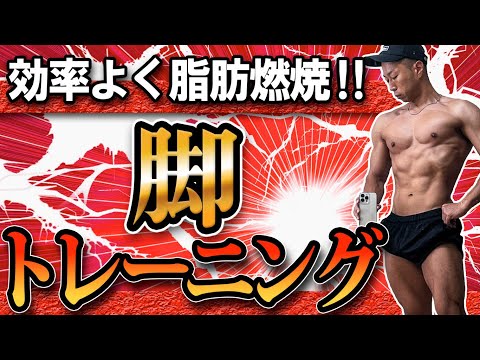 【ダイエット】効率よく脂肪燃焼‼脚トレーニング‼怪我する前に観とく‼