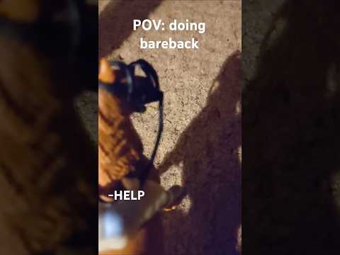 POV: you do bareback😅 #relatable #schleichhorse #funnyhorsevideos #horses #shorts