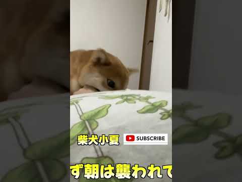 起きます