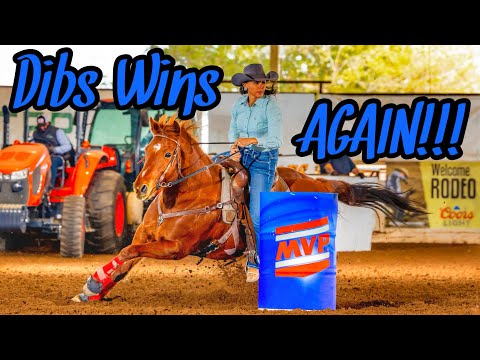 DELIVERING A COLT | Where has SUNNY been??? | MVP barrel race $$$