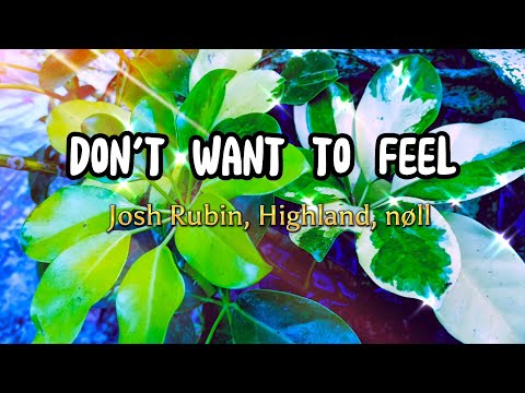 Don't Want To Feel - Josh Rubin, Highlnd, nøll / with Lyrics