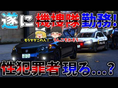 ▶GTAV◀LSPDFR ゆっくり実況 #57 霊夢と魔理沙のパトロール日記