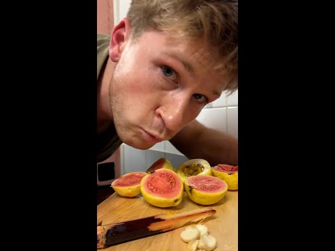 Robert Irwin makes a meal out of foods growing around his zoo