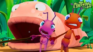 Wormy Surprise! | Antiks 🐜 | Funny Cartoons for Kids