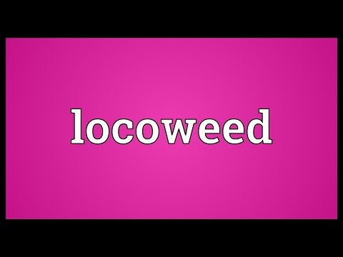 Locoweed Meaning