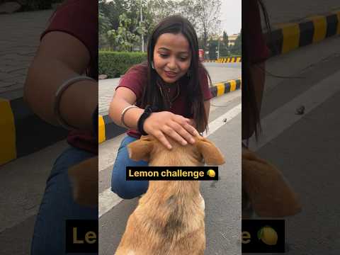 24 hours lemon Challenge 🍋 #shorts #foodchallenge #food